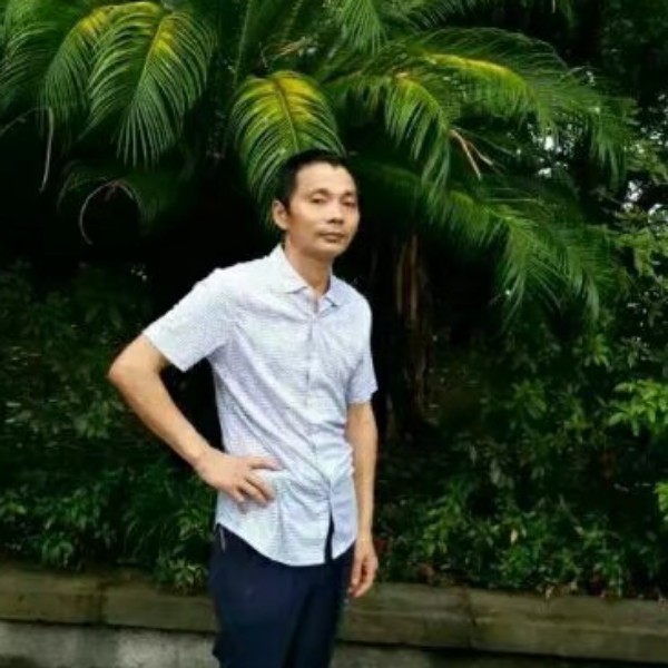 小鸽子单身的照片