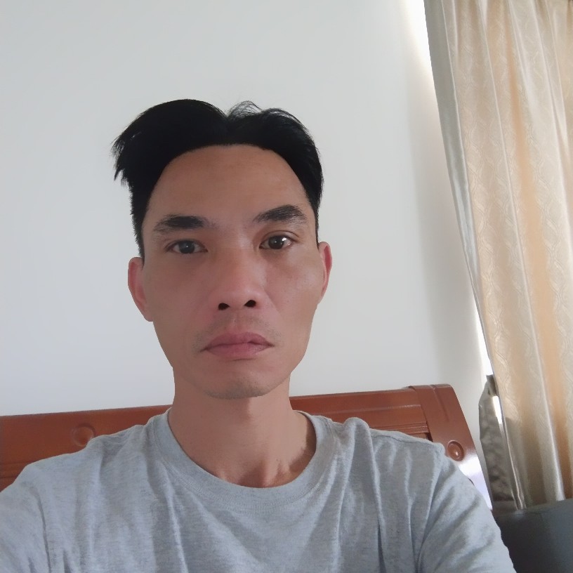 归乡的雁子的照片