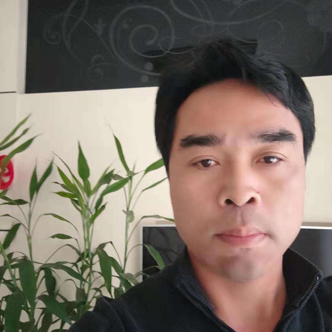 蜜蜂说搞怪的照片