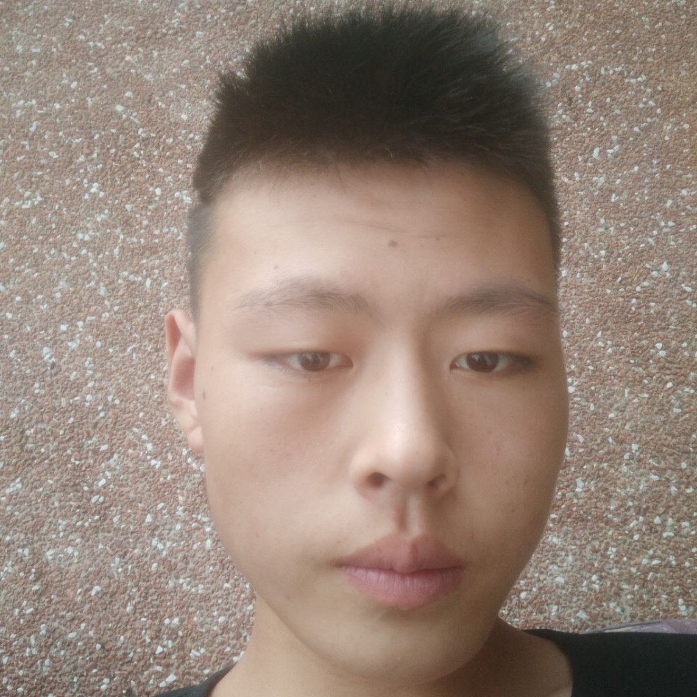海燕爱矫情的照片