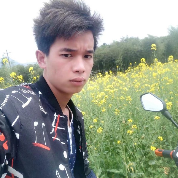 镜子闻生动的照片