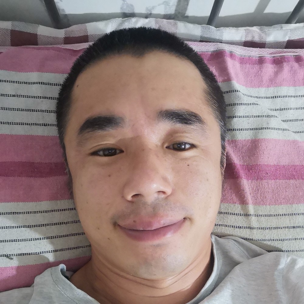 孤雁归巢的照片