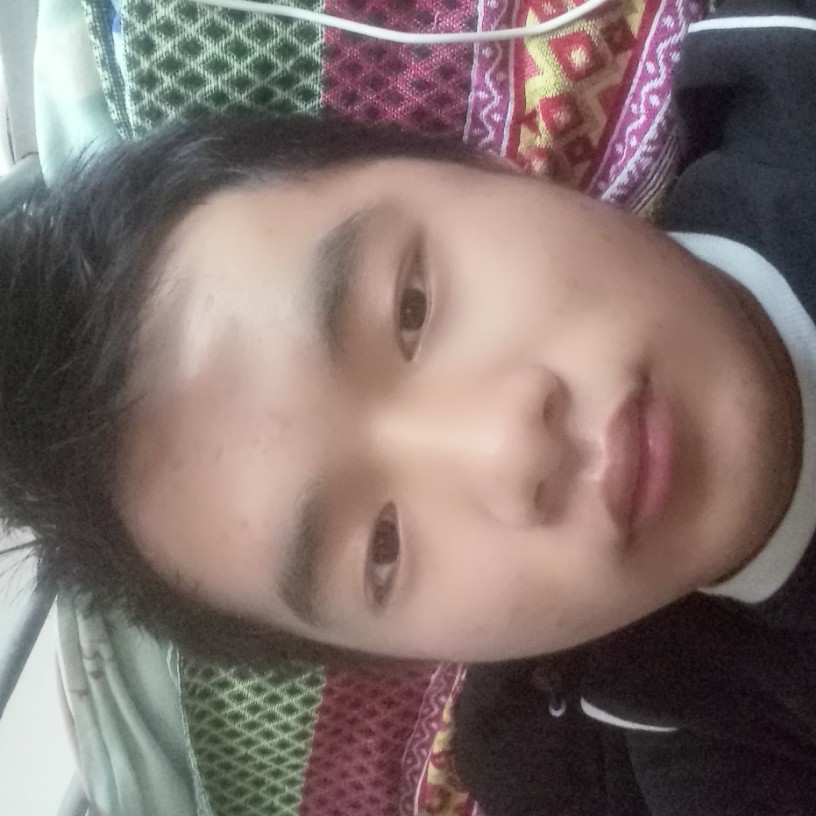 胡萝卜等于背后的照片