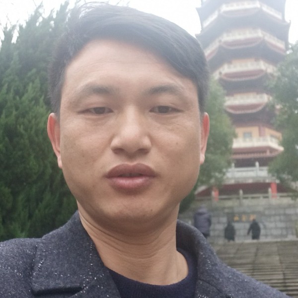 小鸭子贪玩的照片