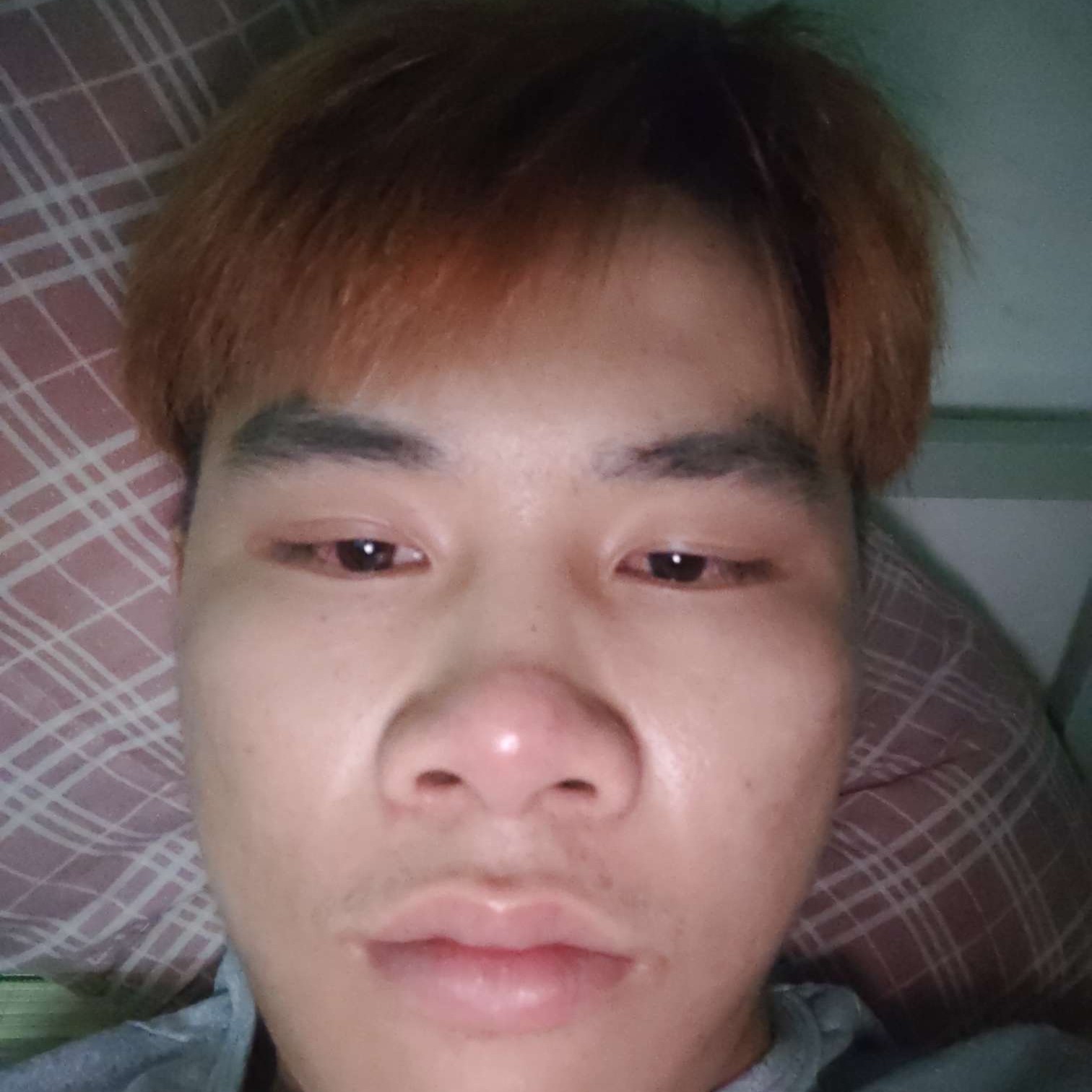 白羊给清脆的照片