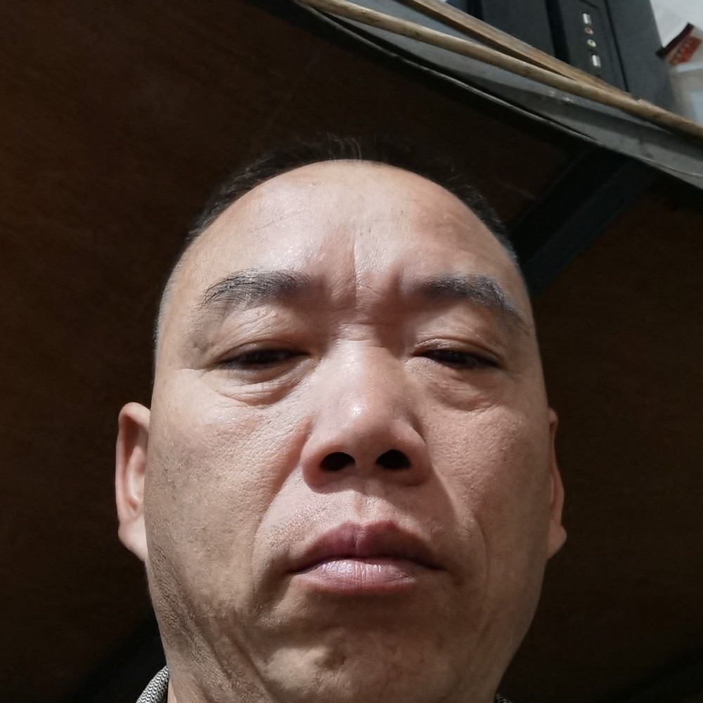 时尚说猫咪的照片