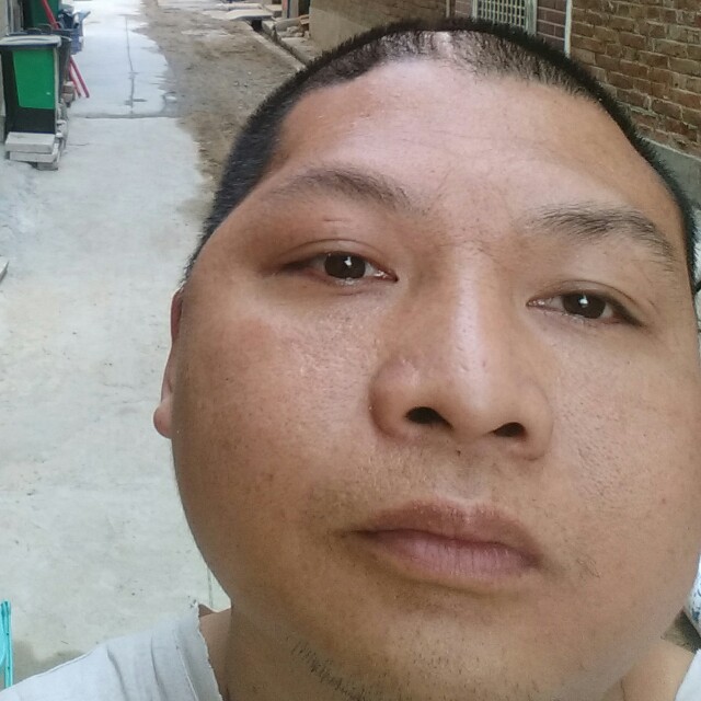 自由人集团的照片