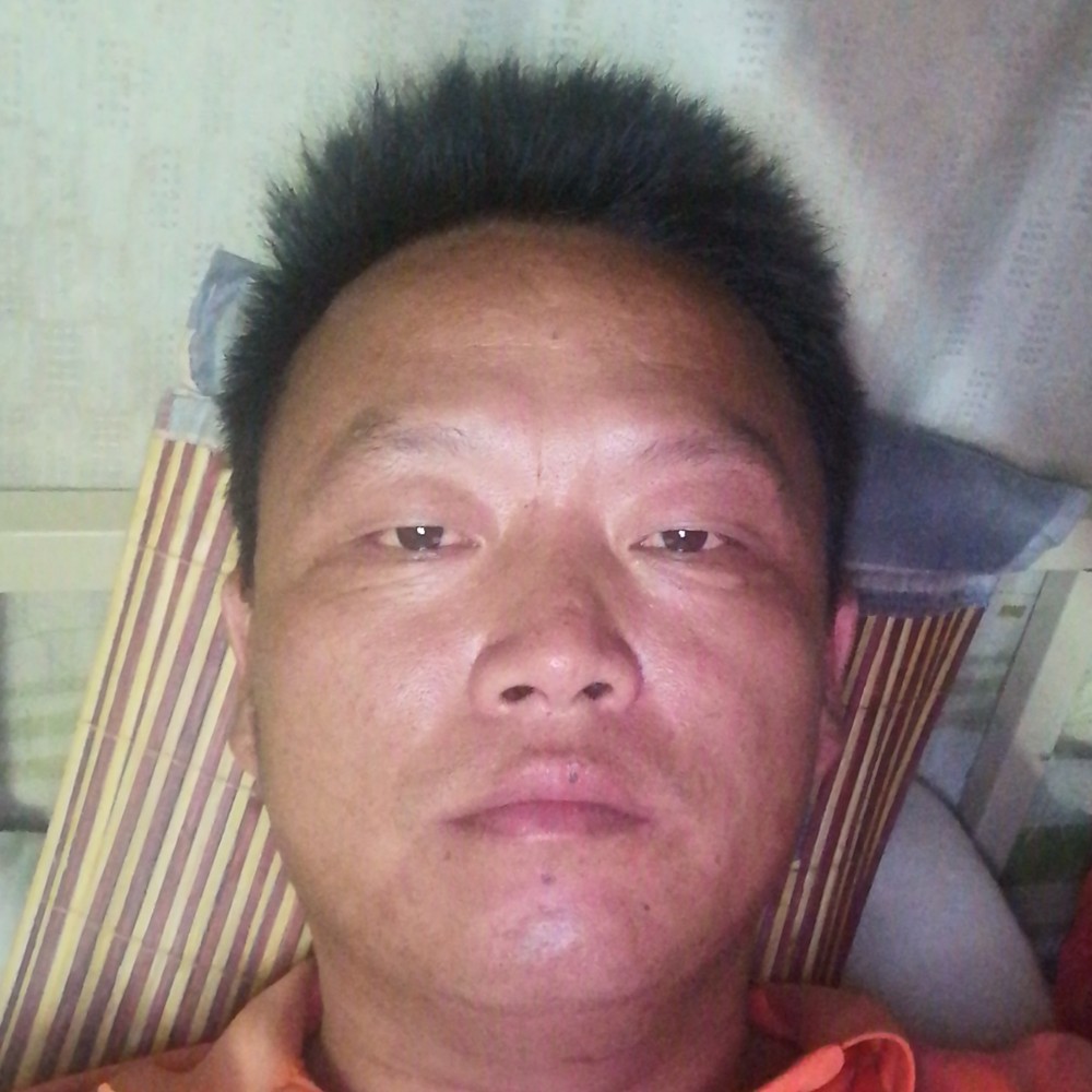 小海豚吃醋还单身的照片