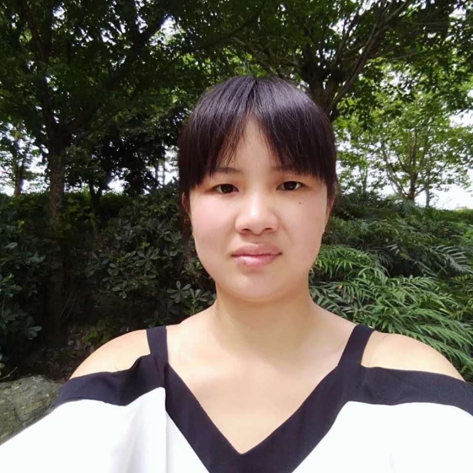 隆菊的照片