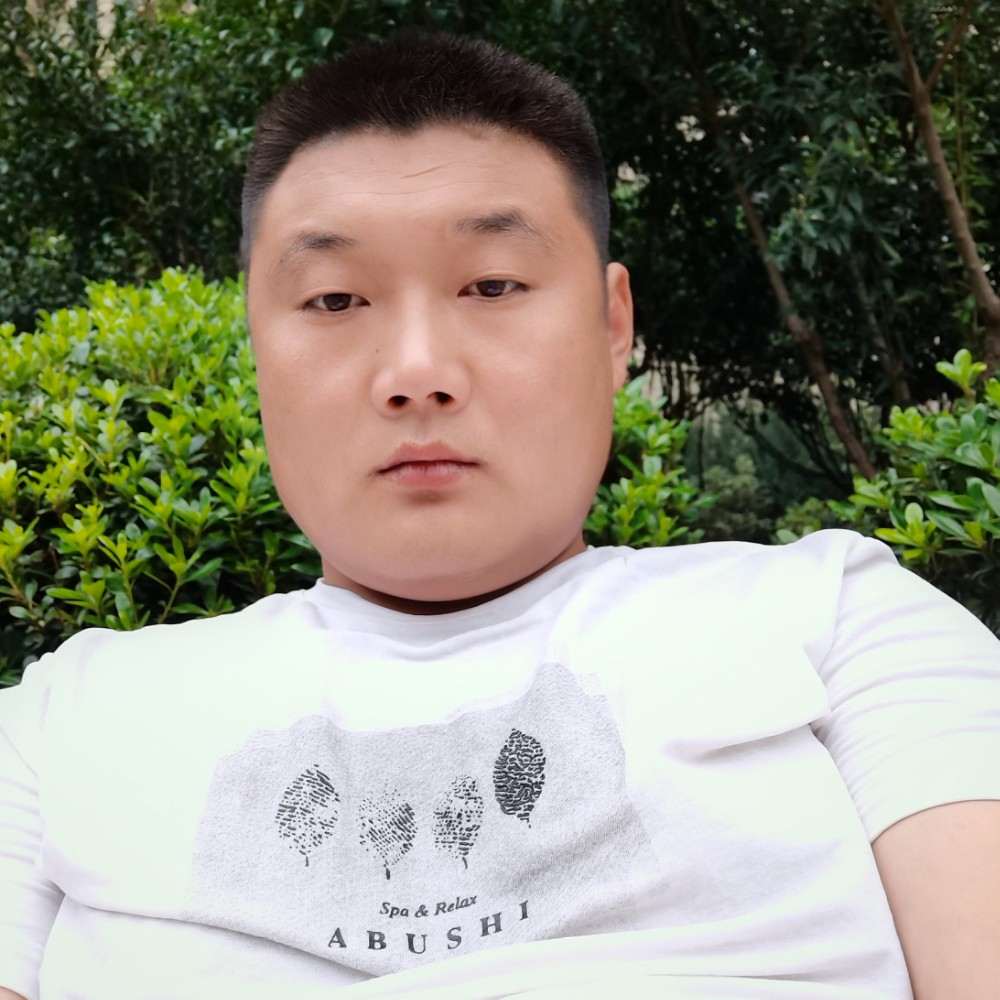 乌龟有安静的照片