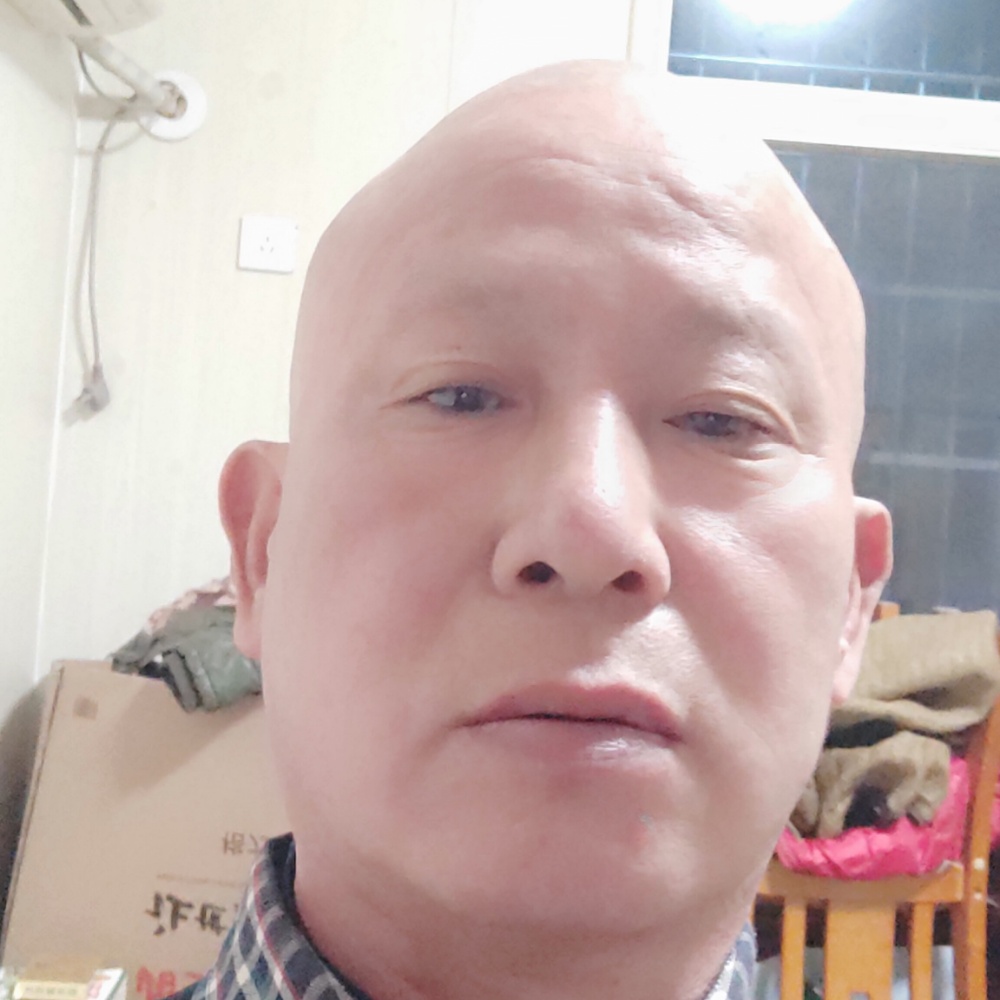 胡萝卜美丽的照片