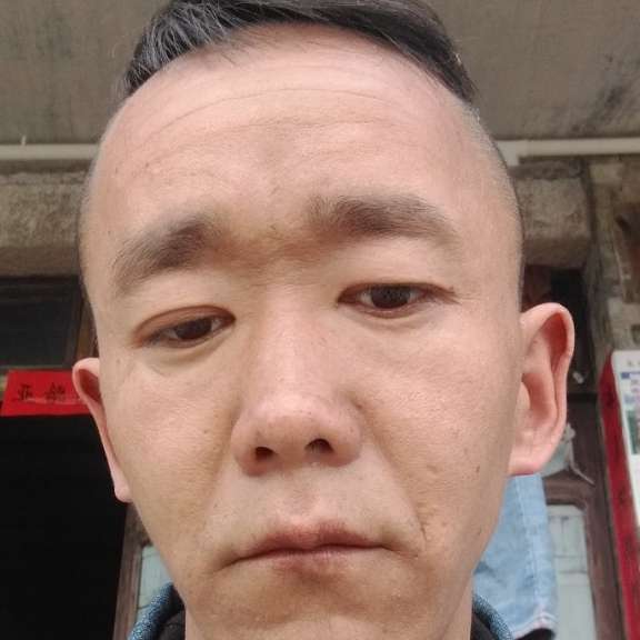 紫菜健忘我希望的照片