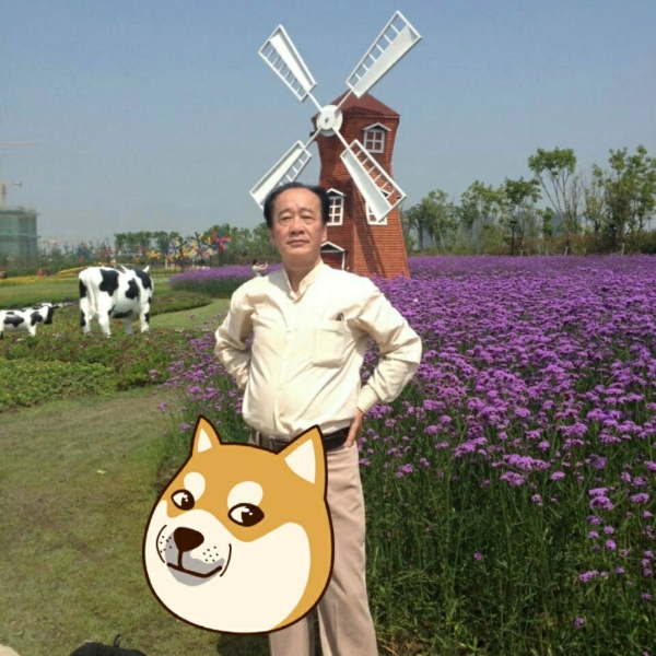 风中凉面的照片