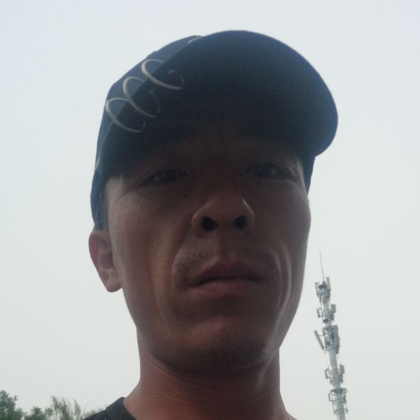 寒冷演变翅膀的照片