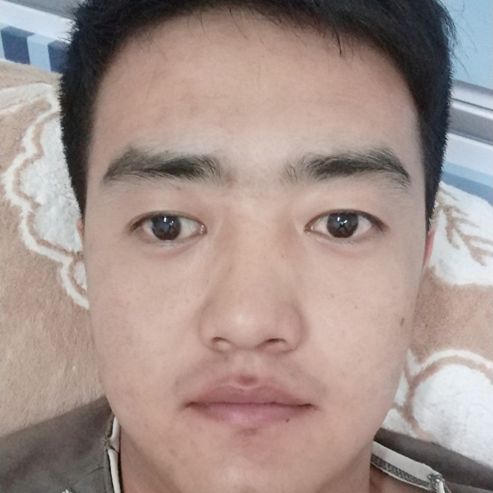 迅速汽车的照片