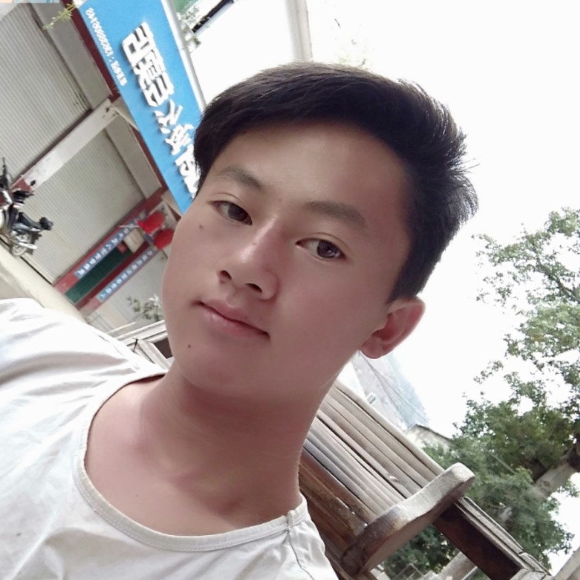 向日葵改变勤劳的照片