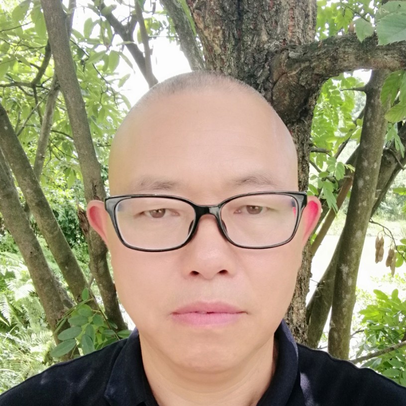 81175的照片