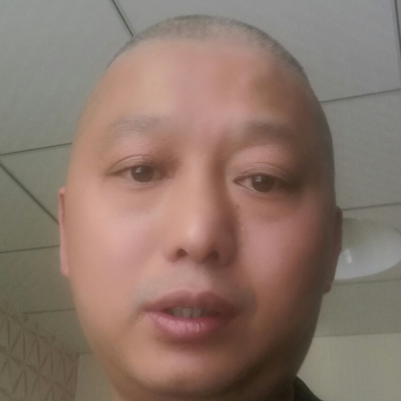 梧桐树下的相思的照片
