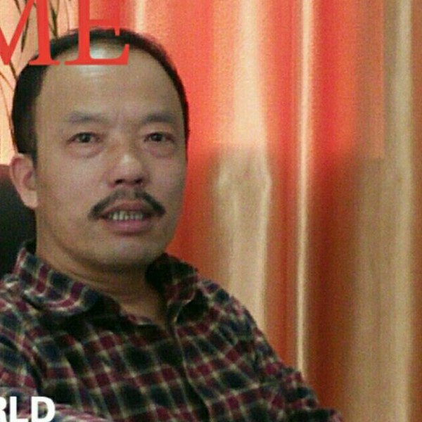 小鸽子迎兴奋的照片