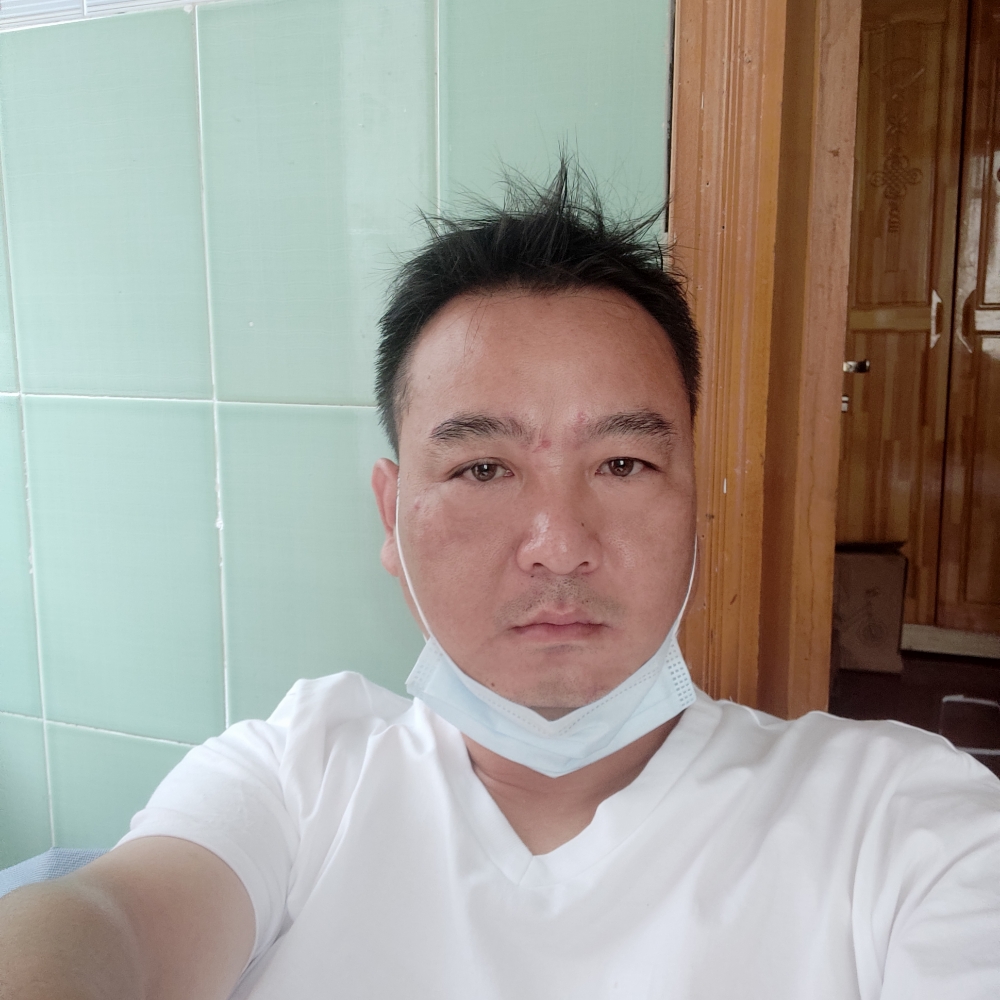 真淳請灰狼的照片