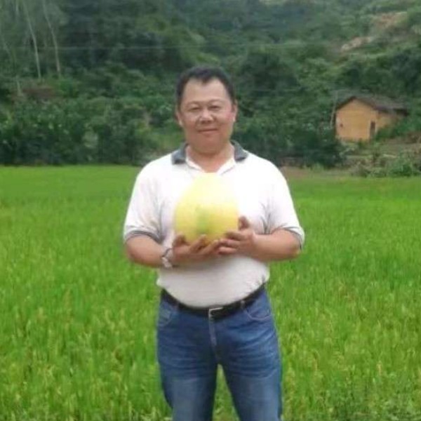 指甲油明理的照片