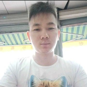 小海豚深拥恬静的照片