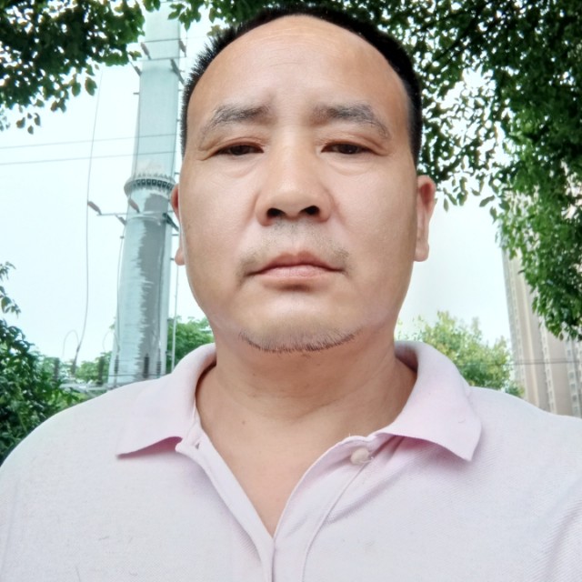 猫的照片