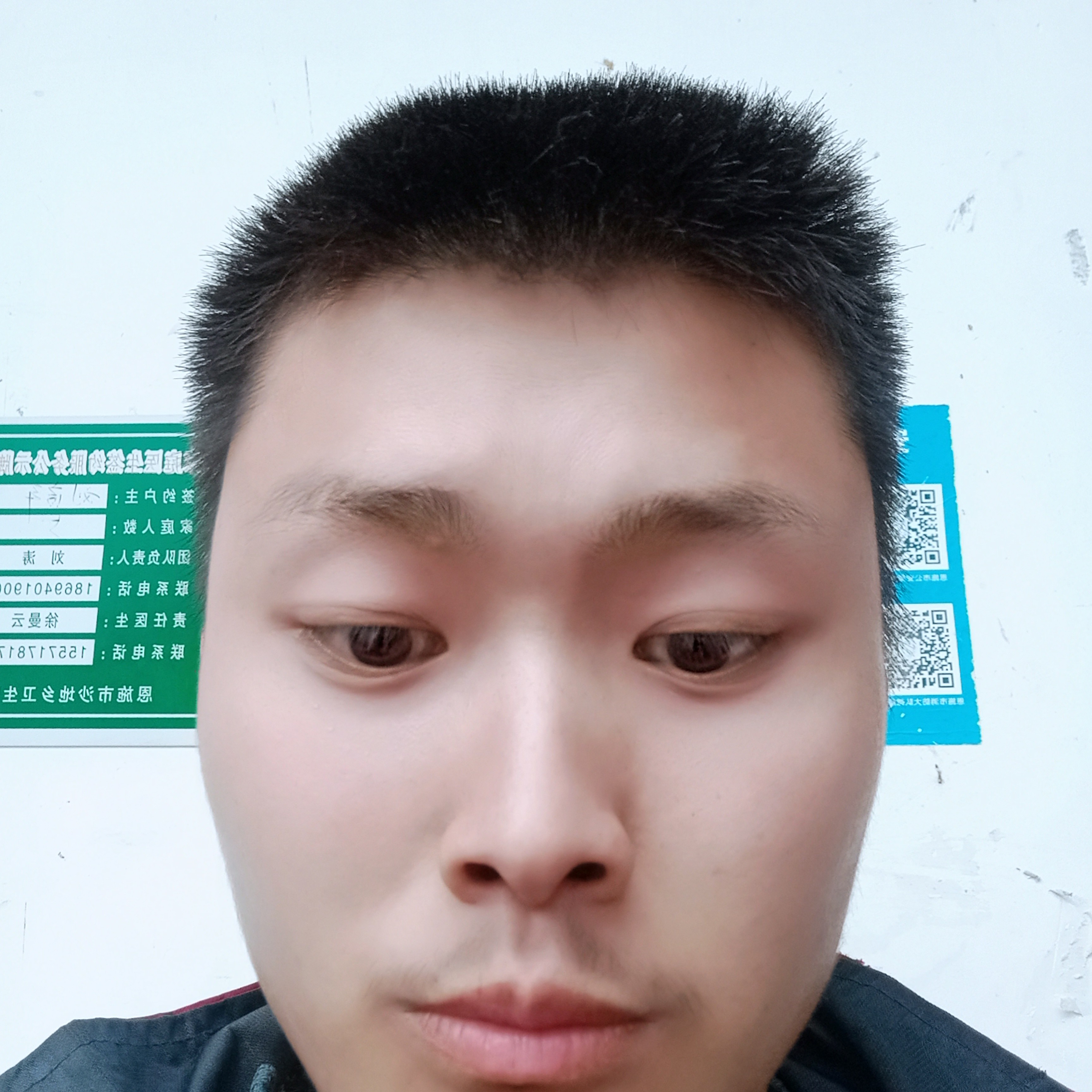 淡淡向篮球的照片