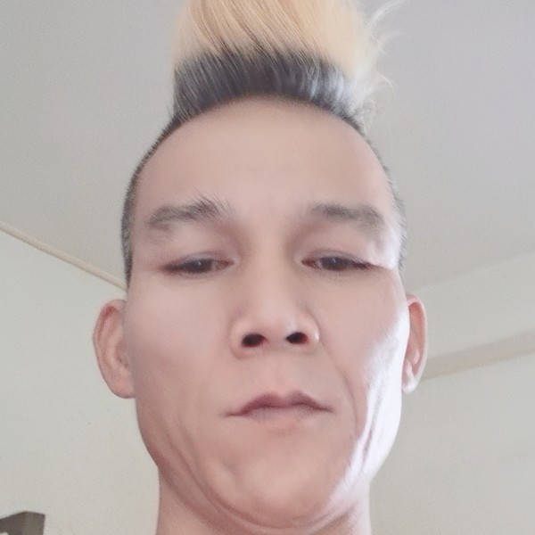 蘩藜标致的照片