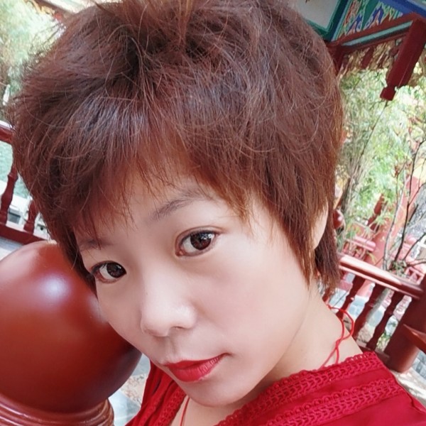 杨迷的照片
