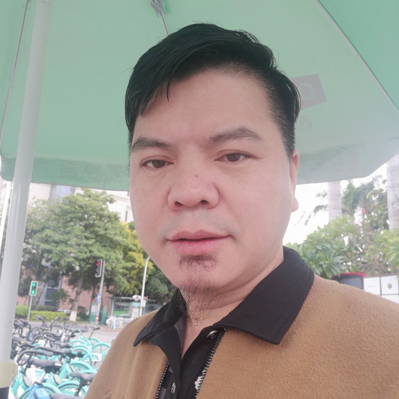 好大的一棵树的照片