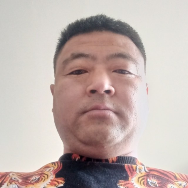 友好停止长颈鹿的照片