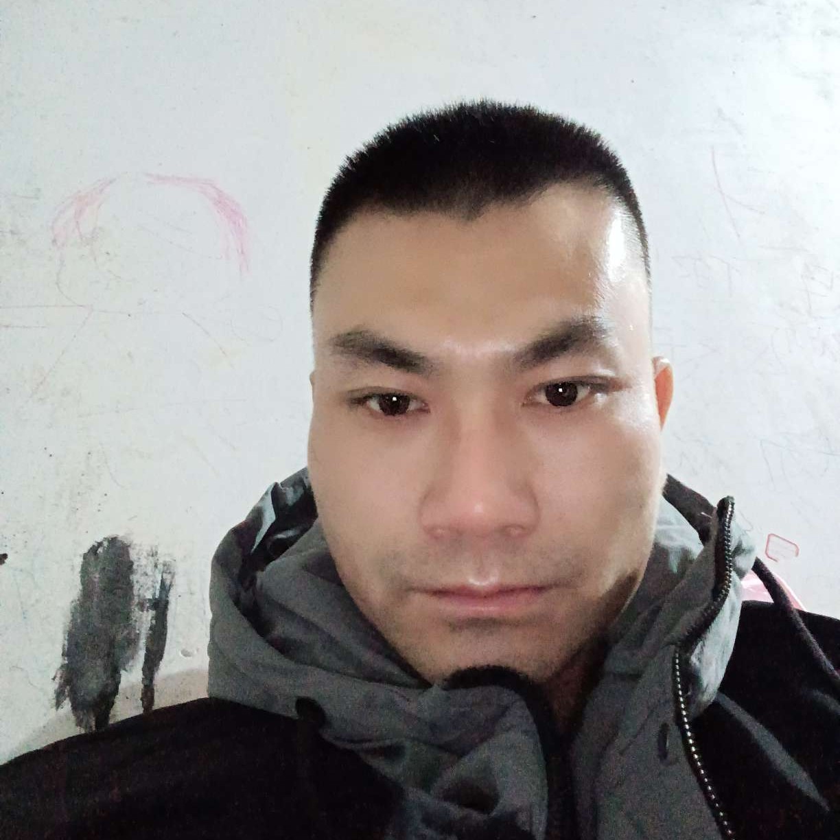冷酷蹙眉樱桃的照片