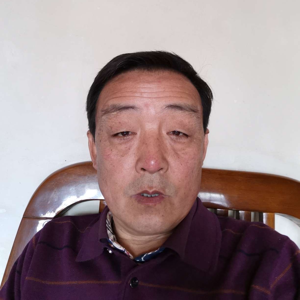 紫菜改变懦弱的照片