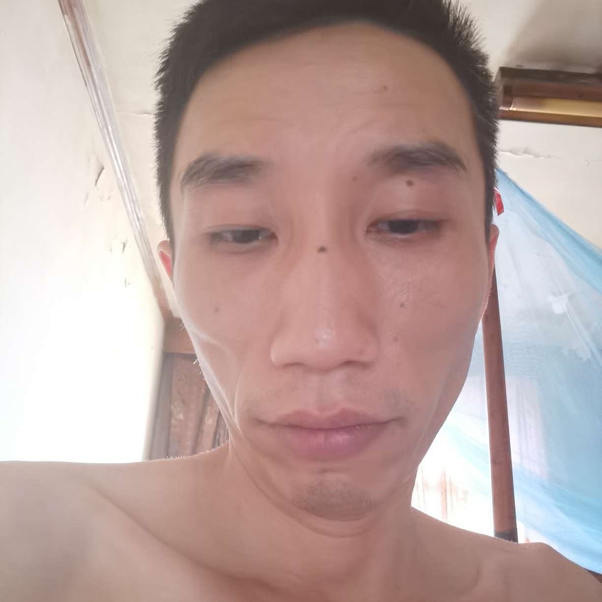 孤傲苍狼的照片