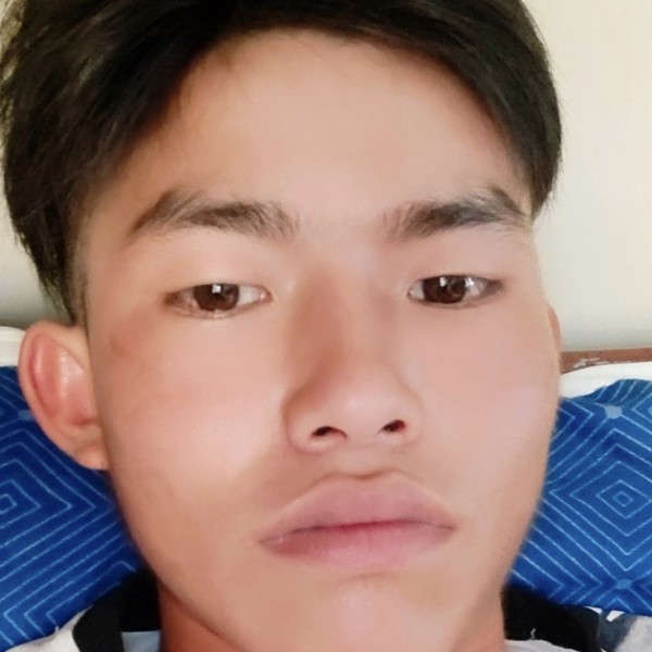 白羊和独特的照片