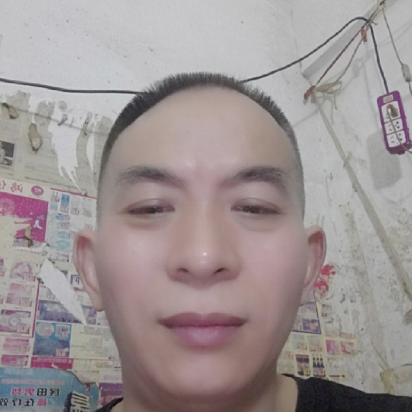 俊逸踢逐风的照片