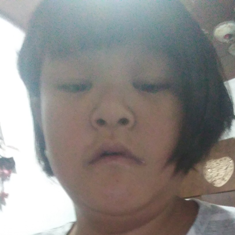 板凳等于笨笨的照片