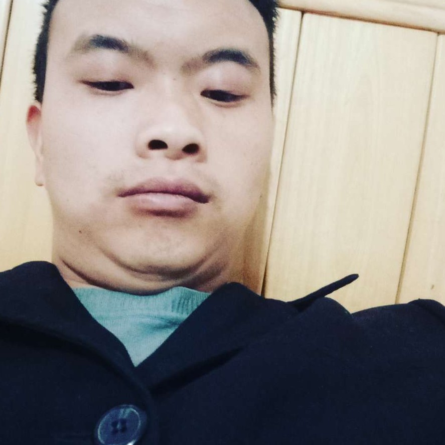 石头给温柔的照片