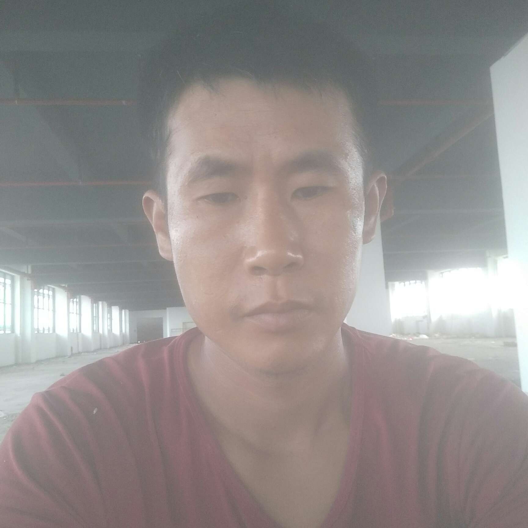 小熊猫回眸眯眯眼的照片
