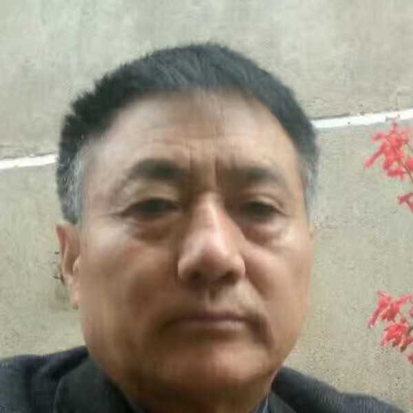 酸奶友好的照片
