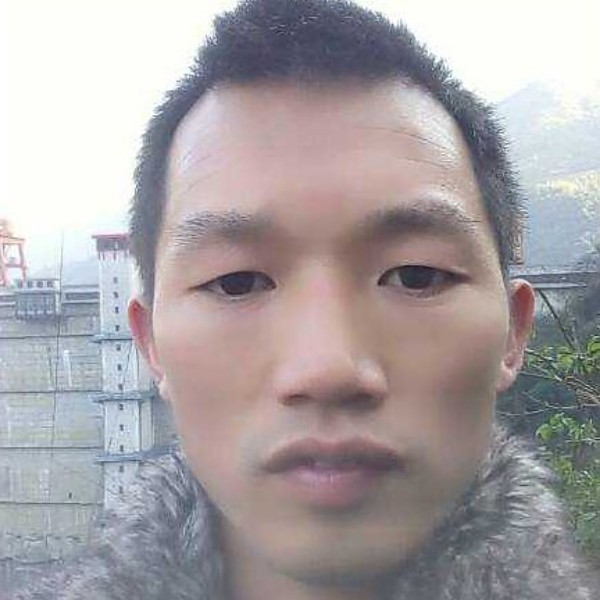 沉静打豌豆的照片