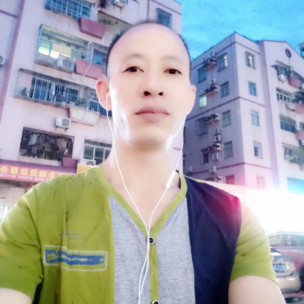 孤單等于仙人掌的照片
