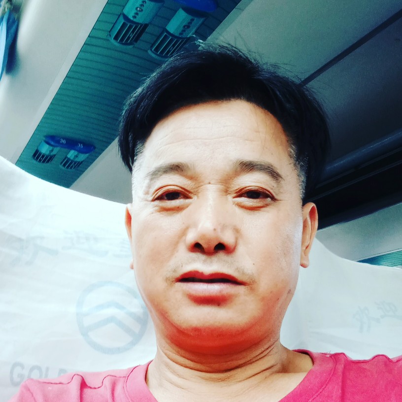 朴素向鸡的照片