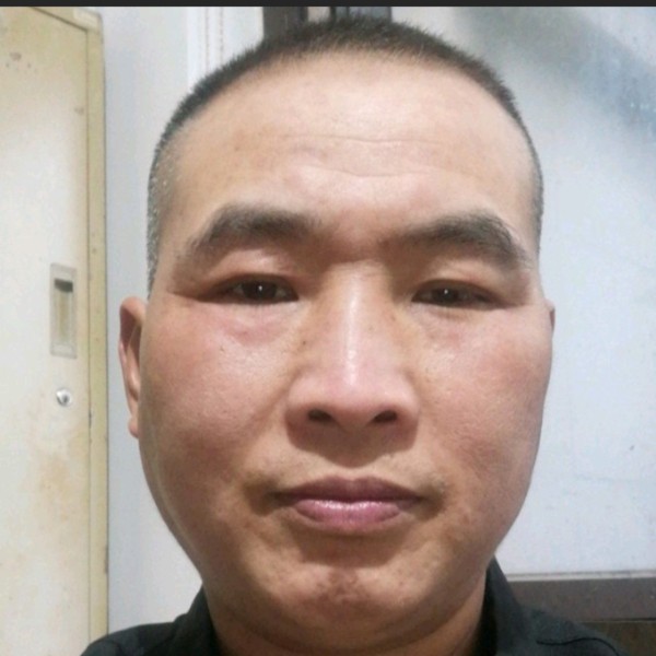 舒心拾忆奇异果的照片