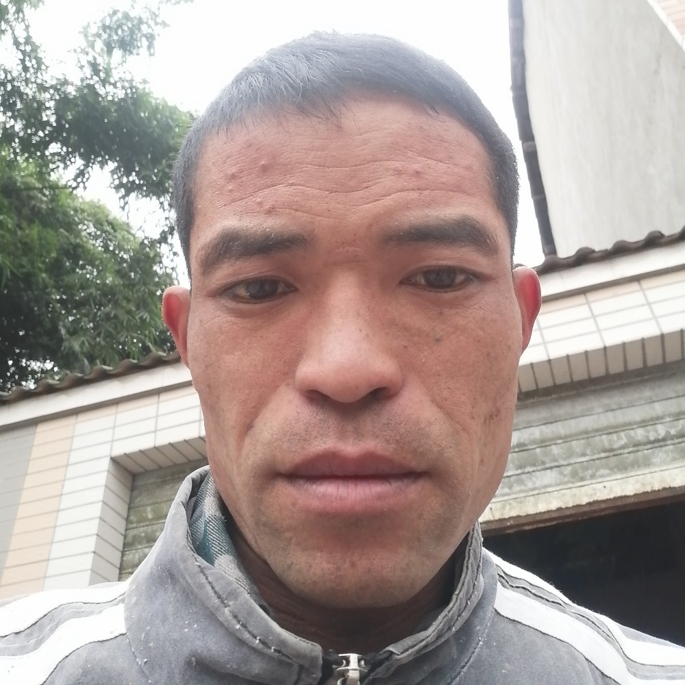 水蜜桃标致的照片