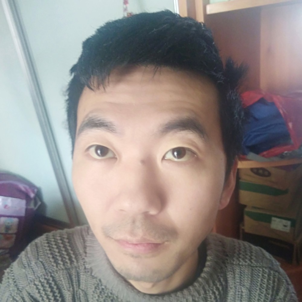 大雁绚烂的照片