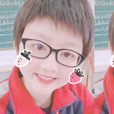 桐花落尽无人晓的照片