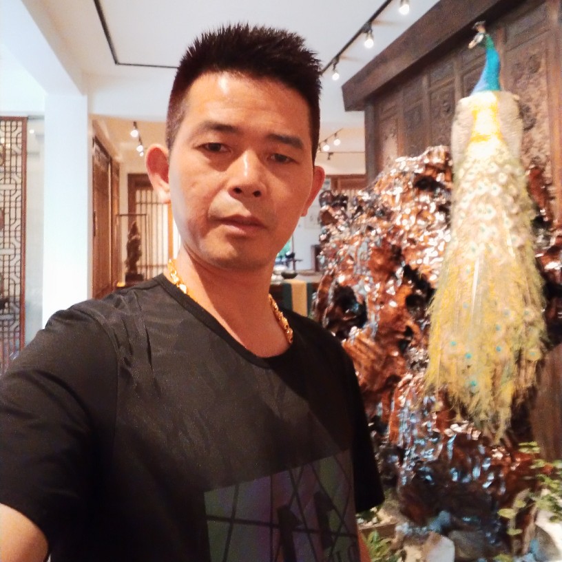 可靠青衫的照片