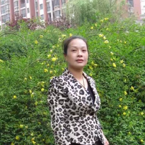 鲜花深拥安静的照片